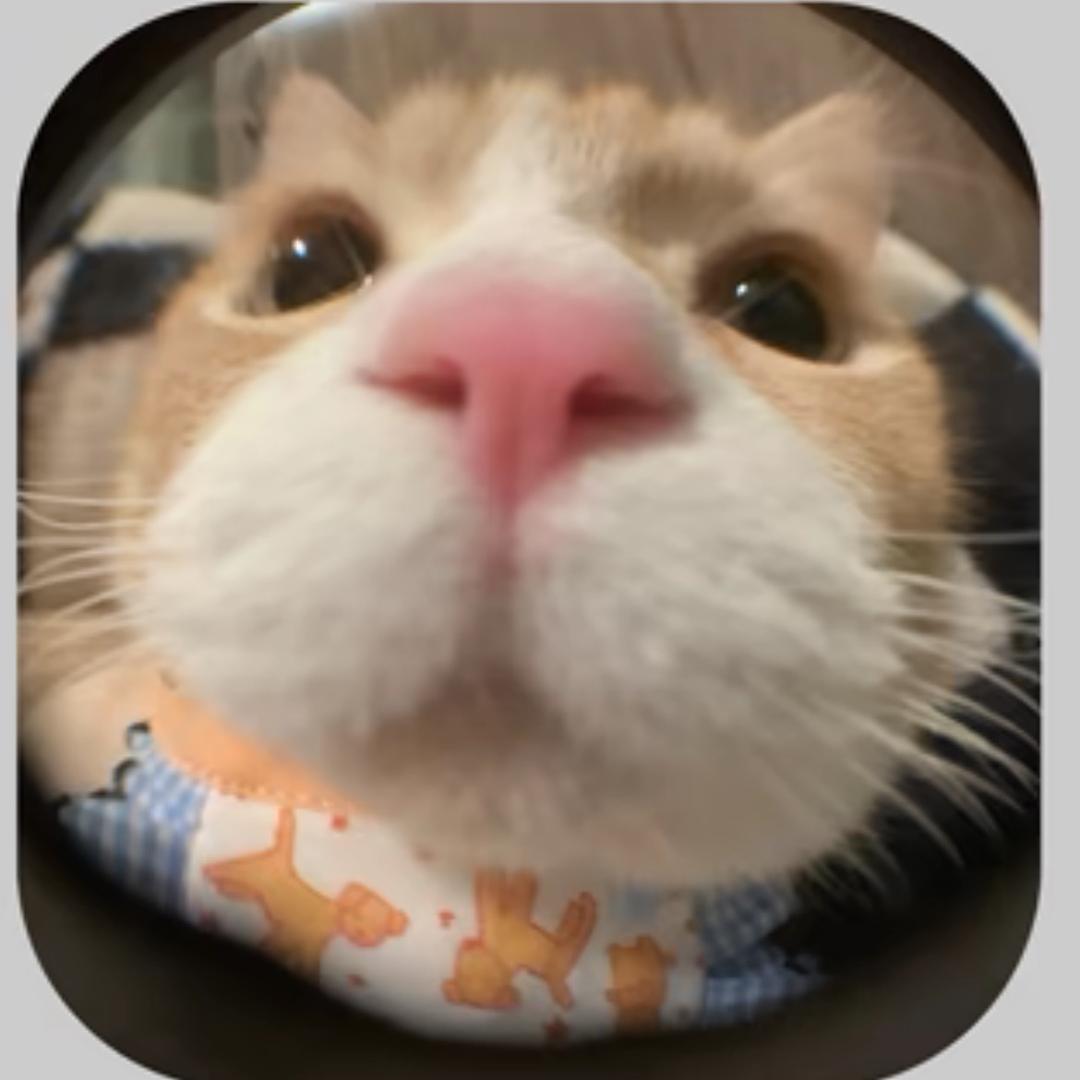 我是一辆瘦子