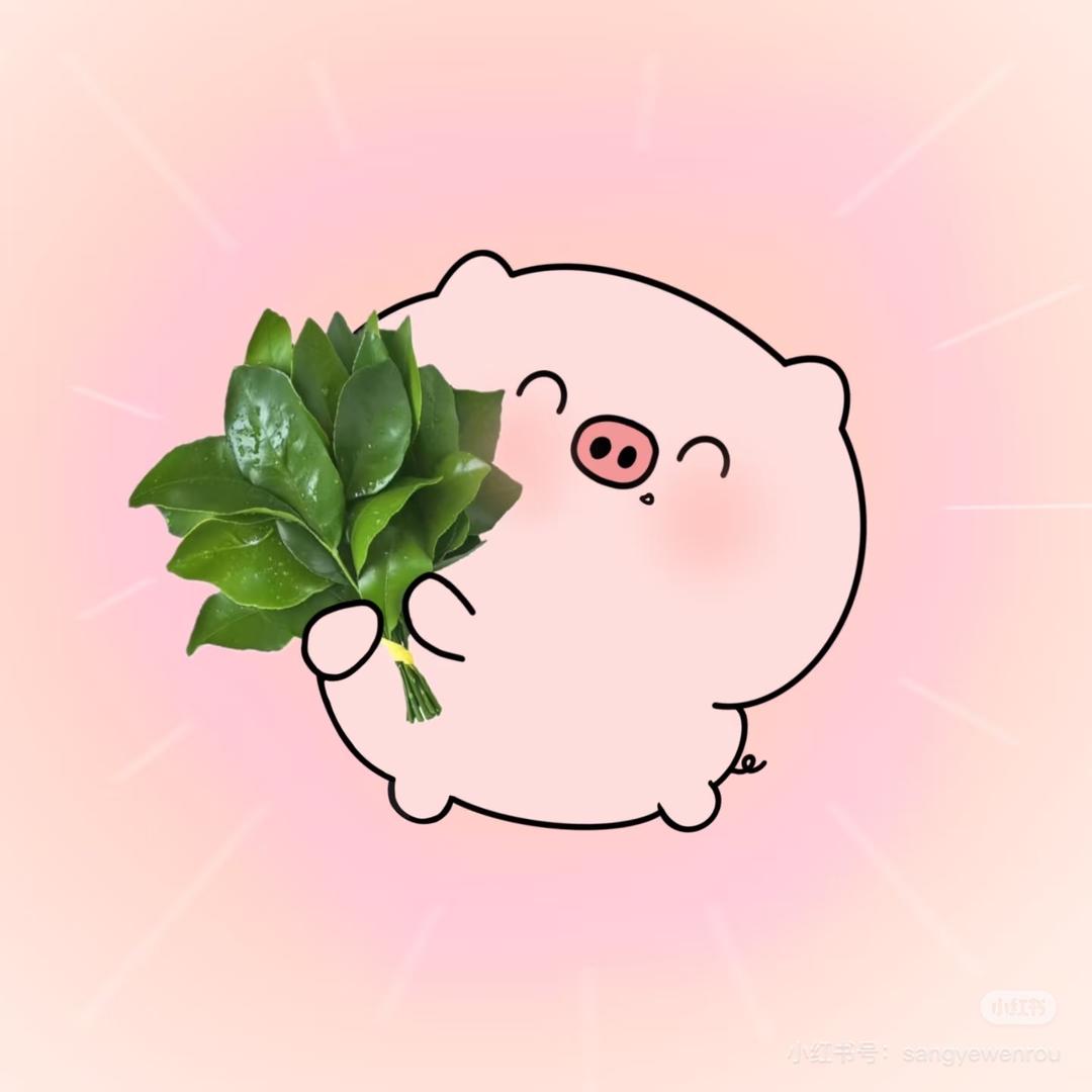 韦球球