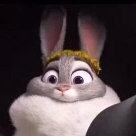 ⁵¹⁷绵绵绵绵绵绵绵🐰