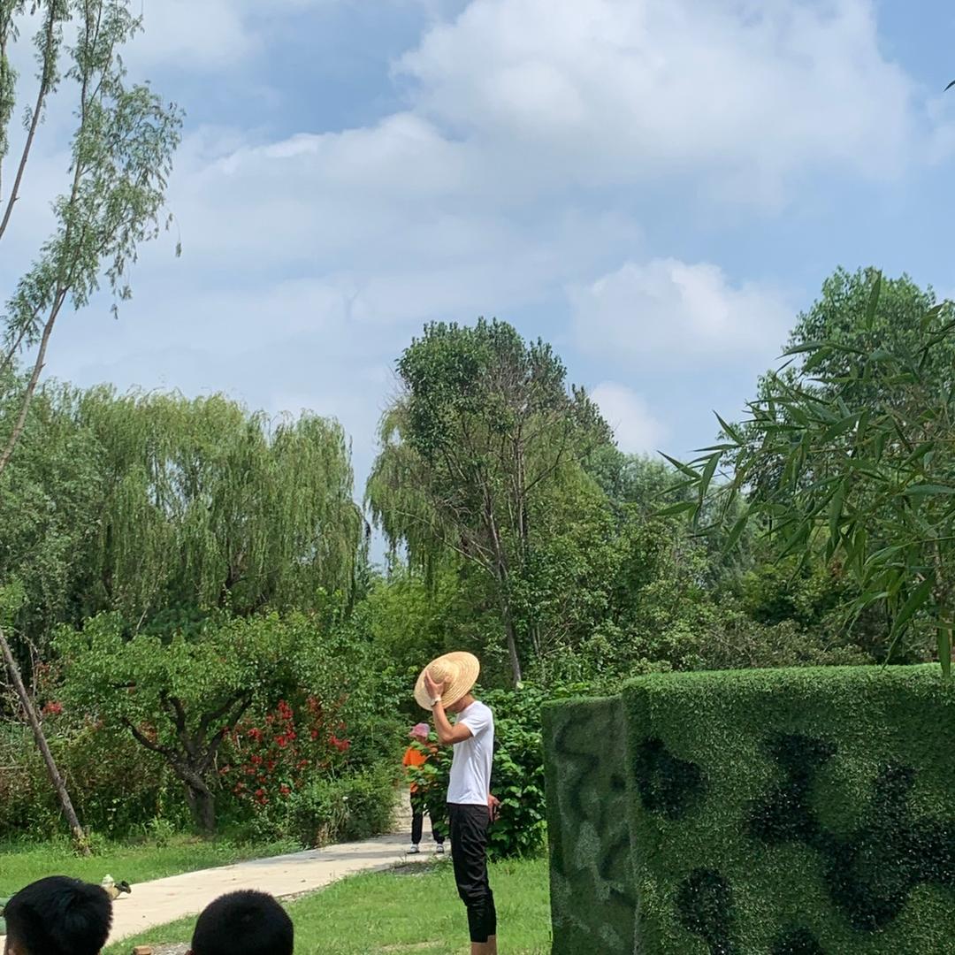 临沂 王总