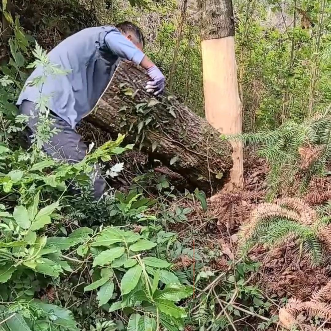 就是汉中味道