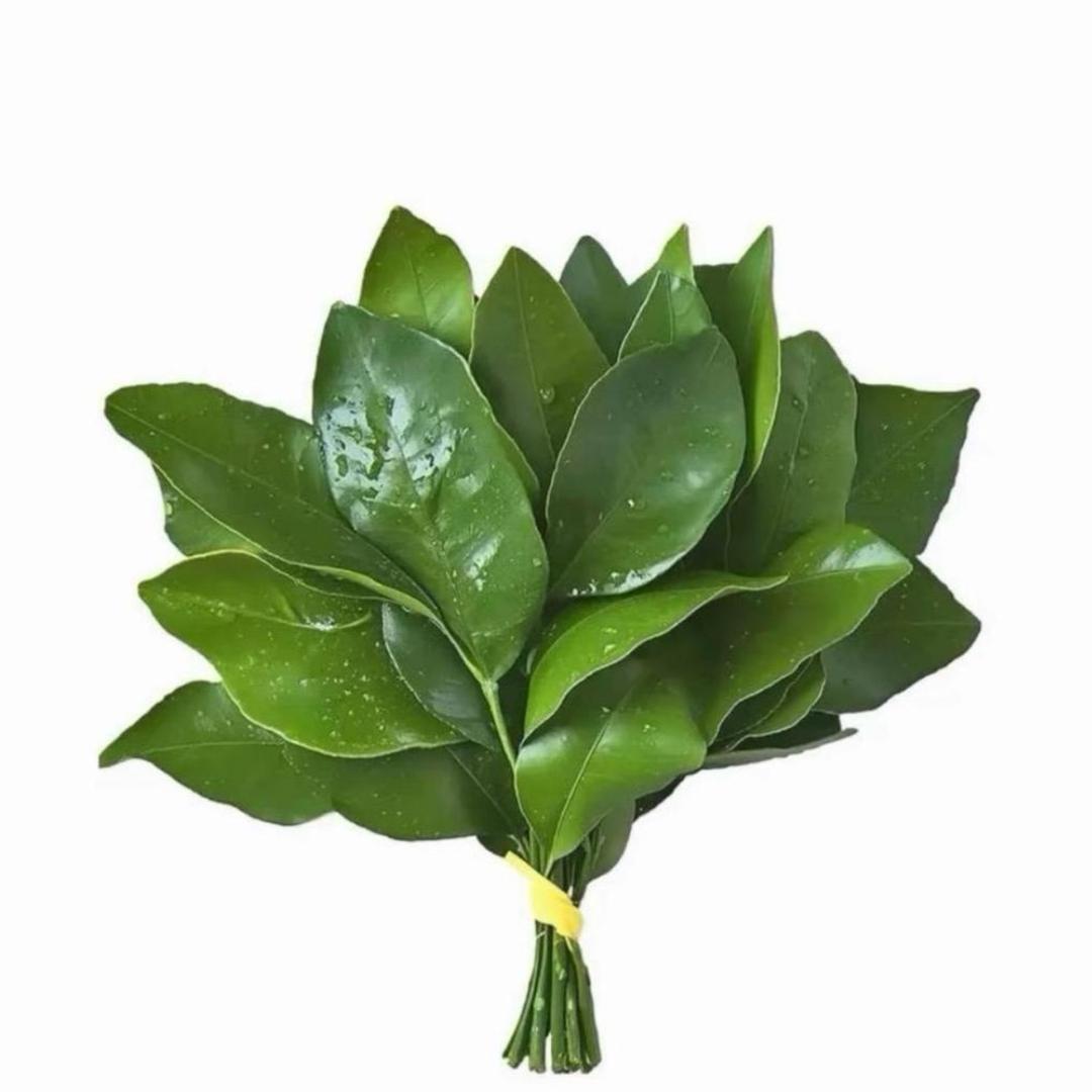 小陈的减肥日记