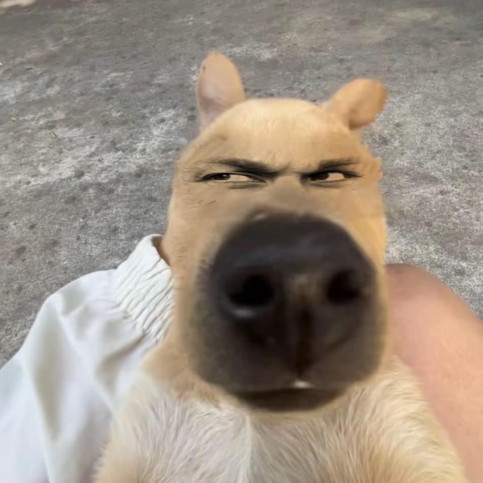 小星星🌟亮晶晶