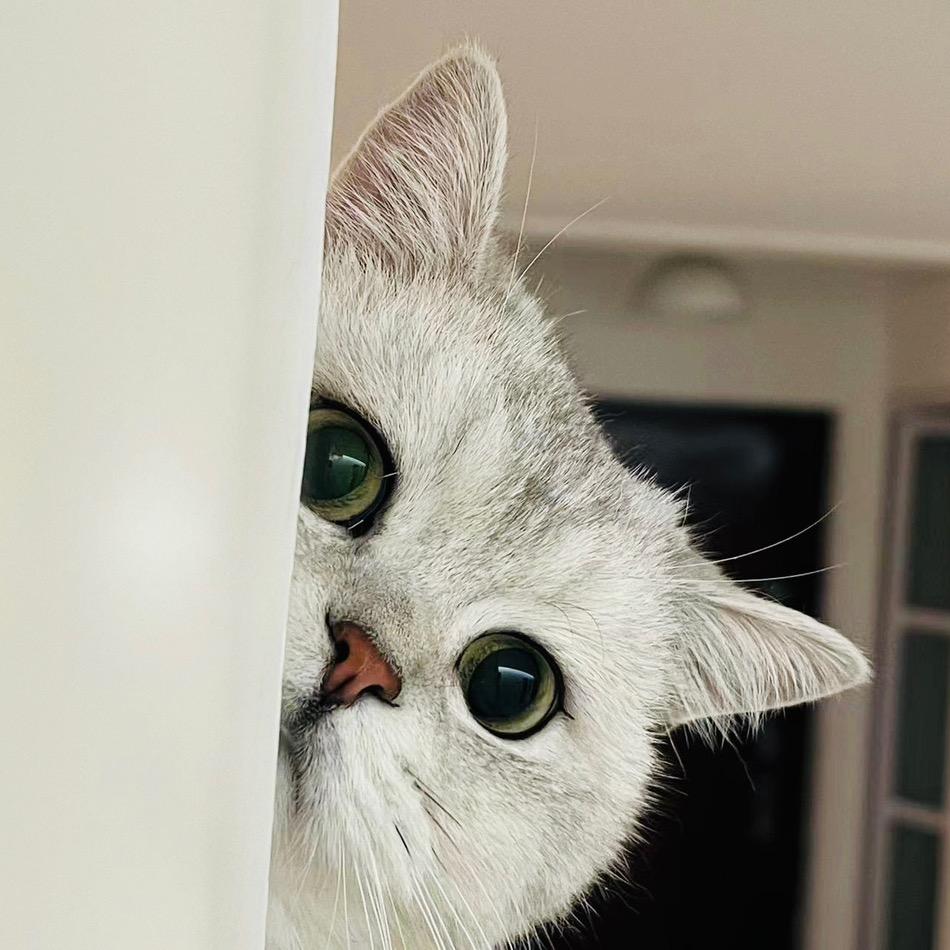 🌈🌈橙子🌈🌈