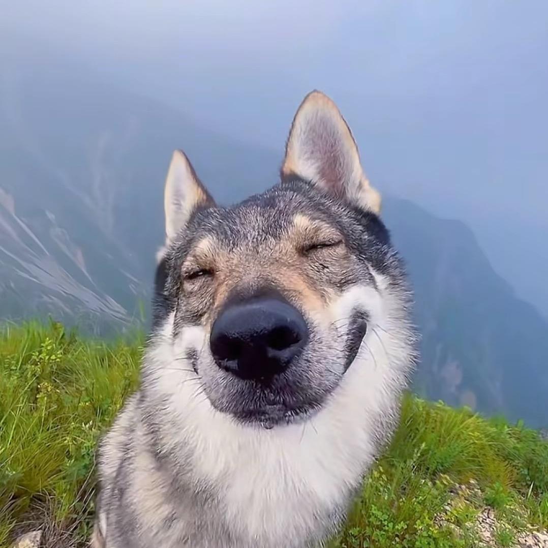 比奇堡超凶魚仔I