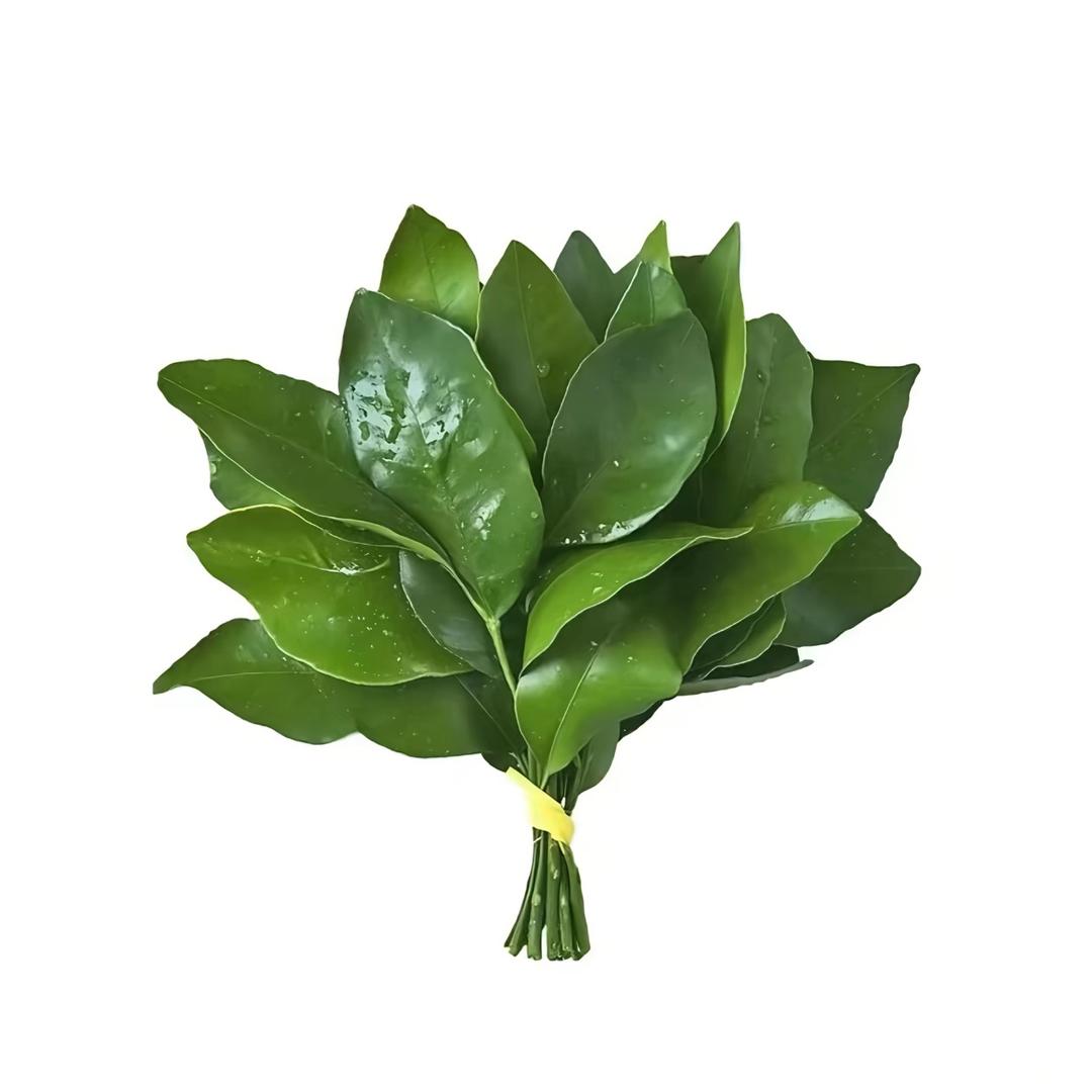 撑伞ouo