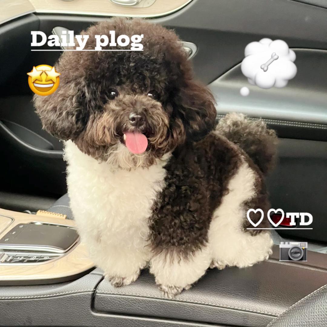 围棋和家人日常生活