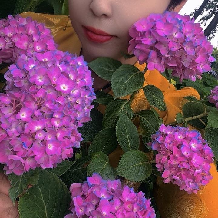 杨杨🌹((❤️⥎❤️))🌹得亿