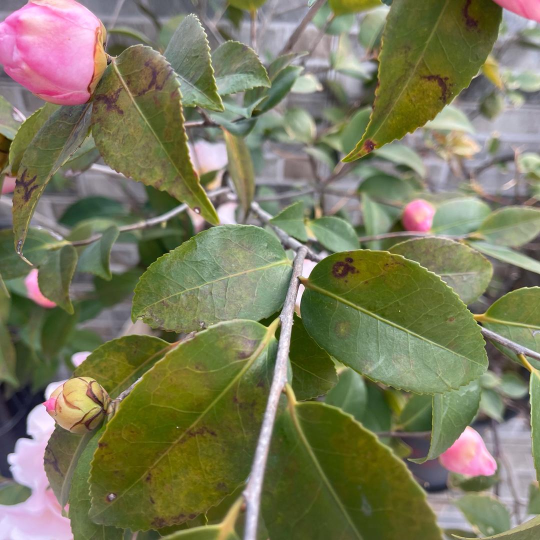 把握着每个今天