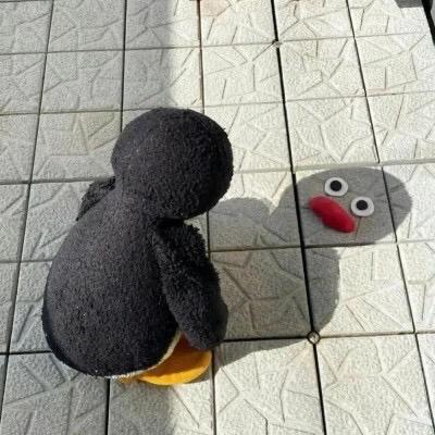 摸不到的月