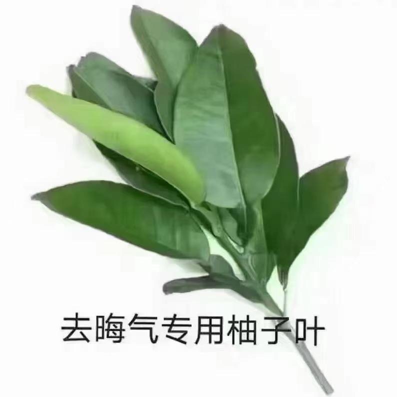 钱爱我我爱钱钱从四面八方来到我身边