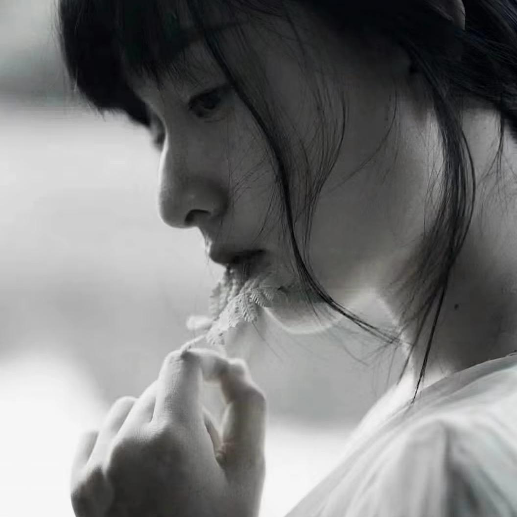 毛毛