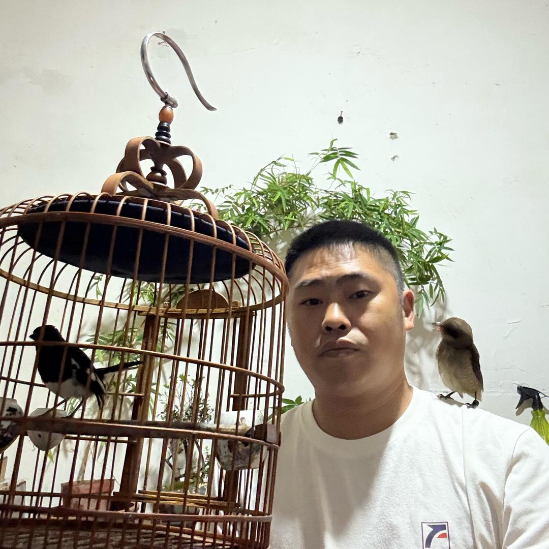 薛师傅养鸟