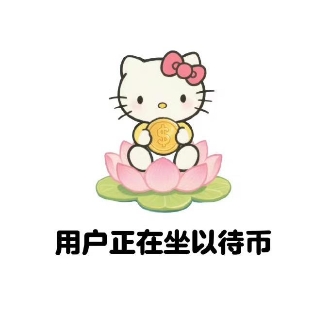 一颗肉不丸