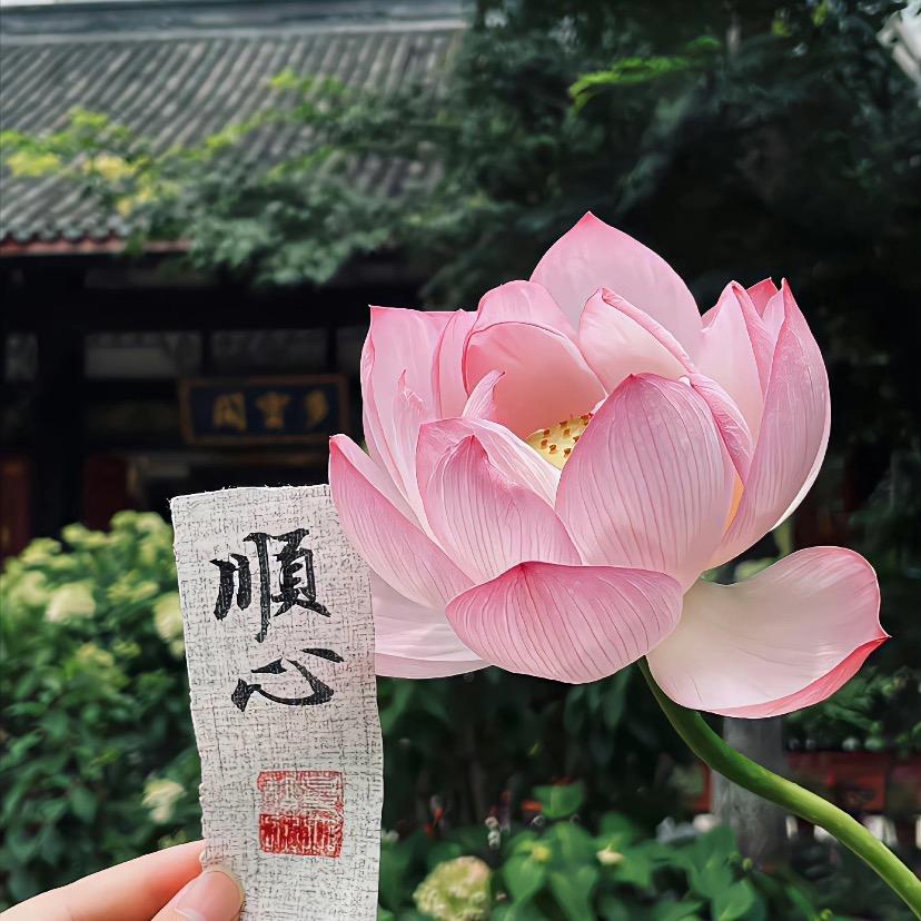 嘉靖行者