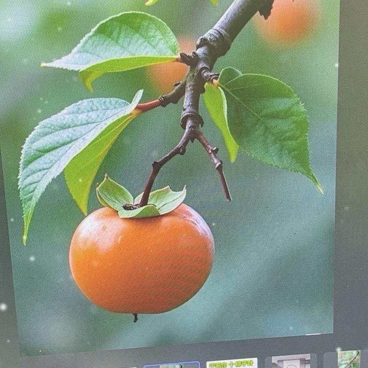杨洋爱生活