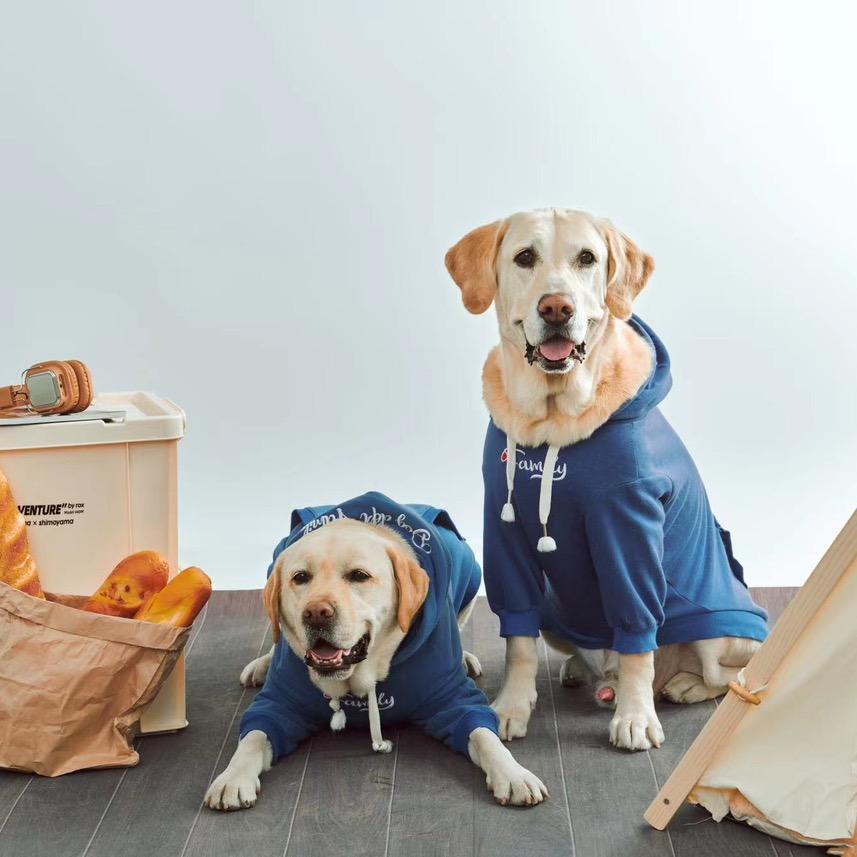 大勇哥🌊🌊🌊