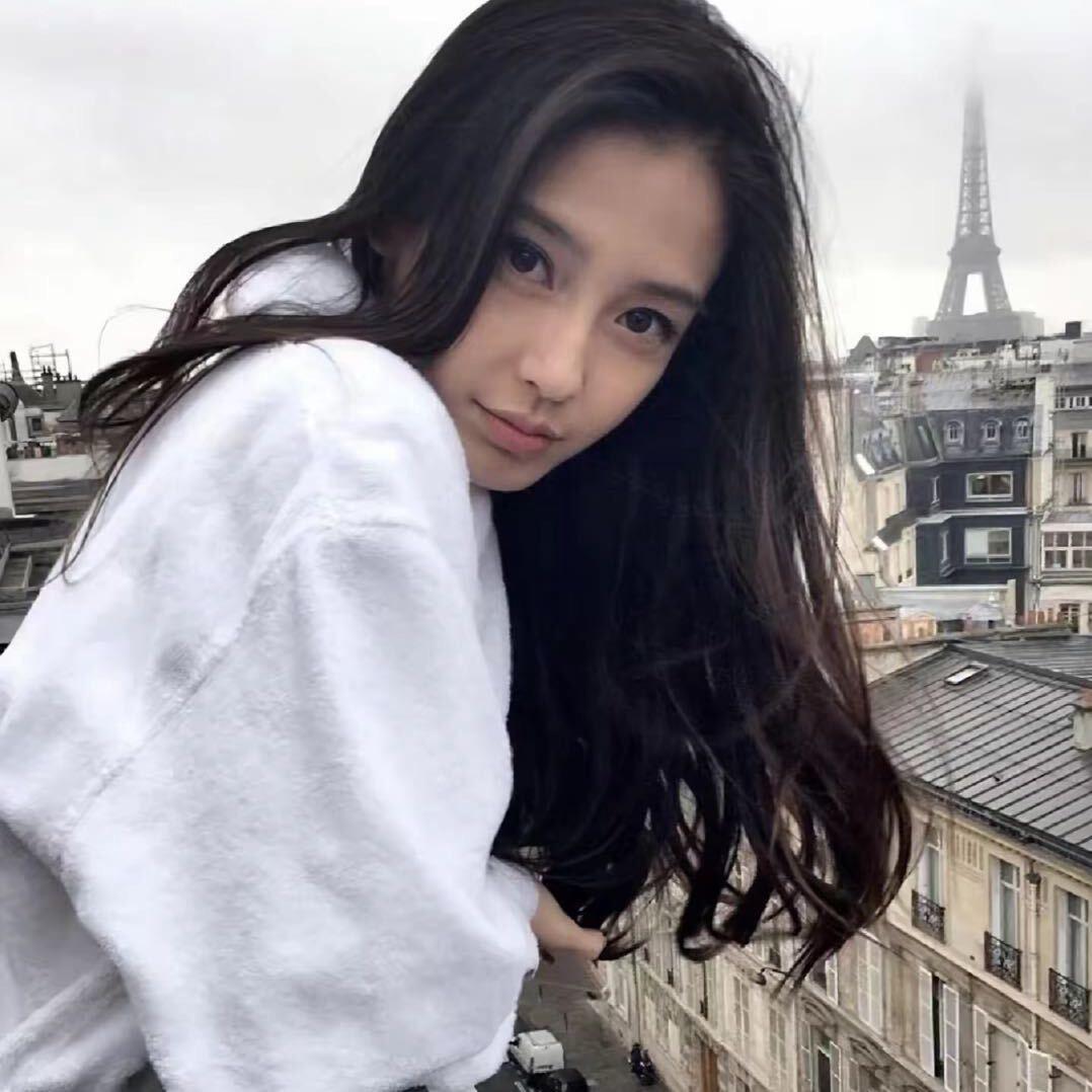 Angelababy的狗