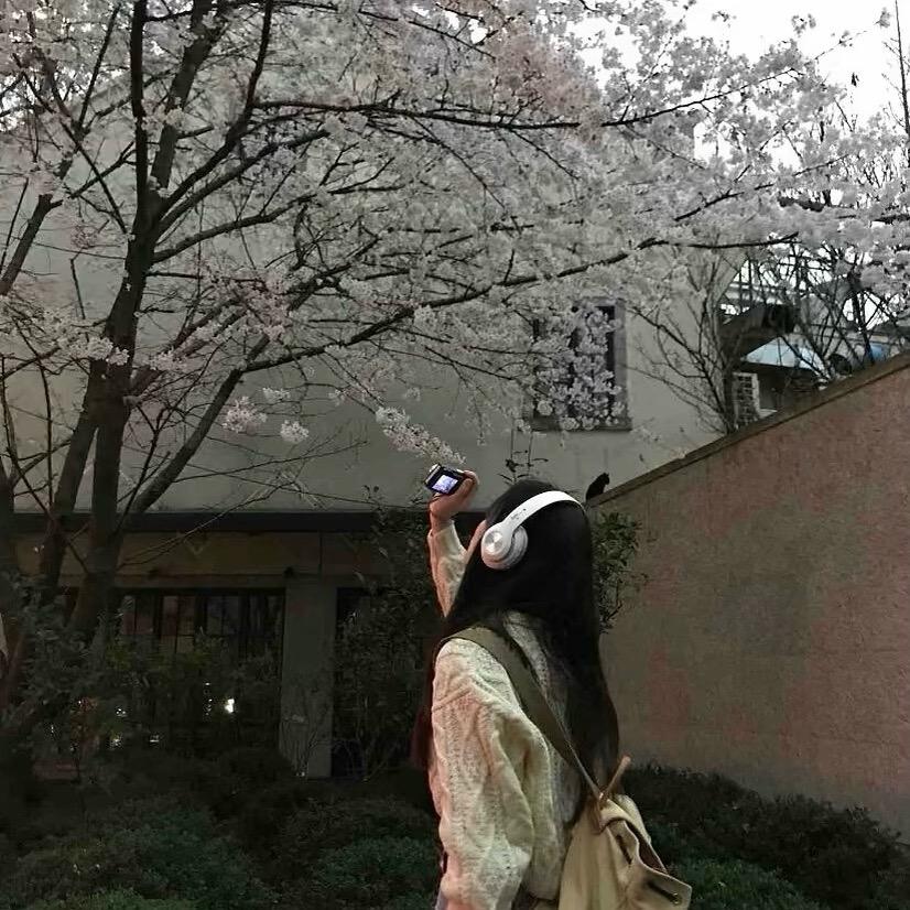风吹过的蒲公英