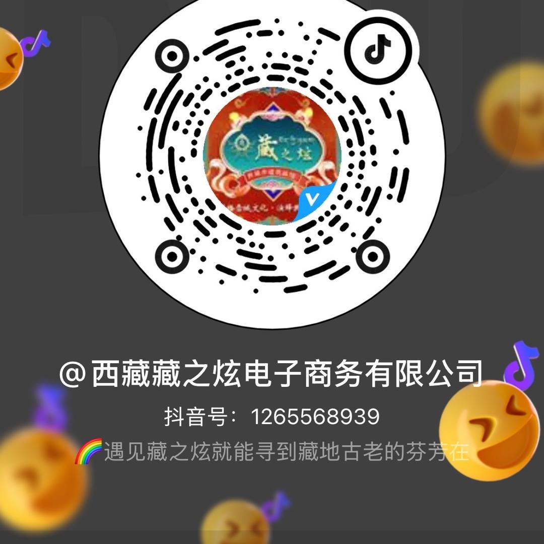 西藏藏之炫电子商务有限公司