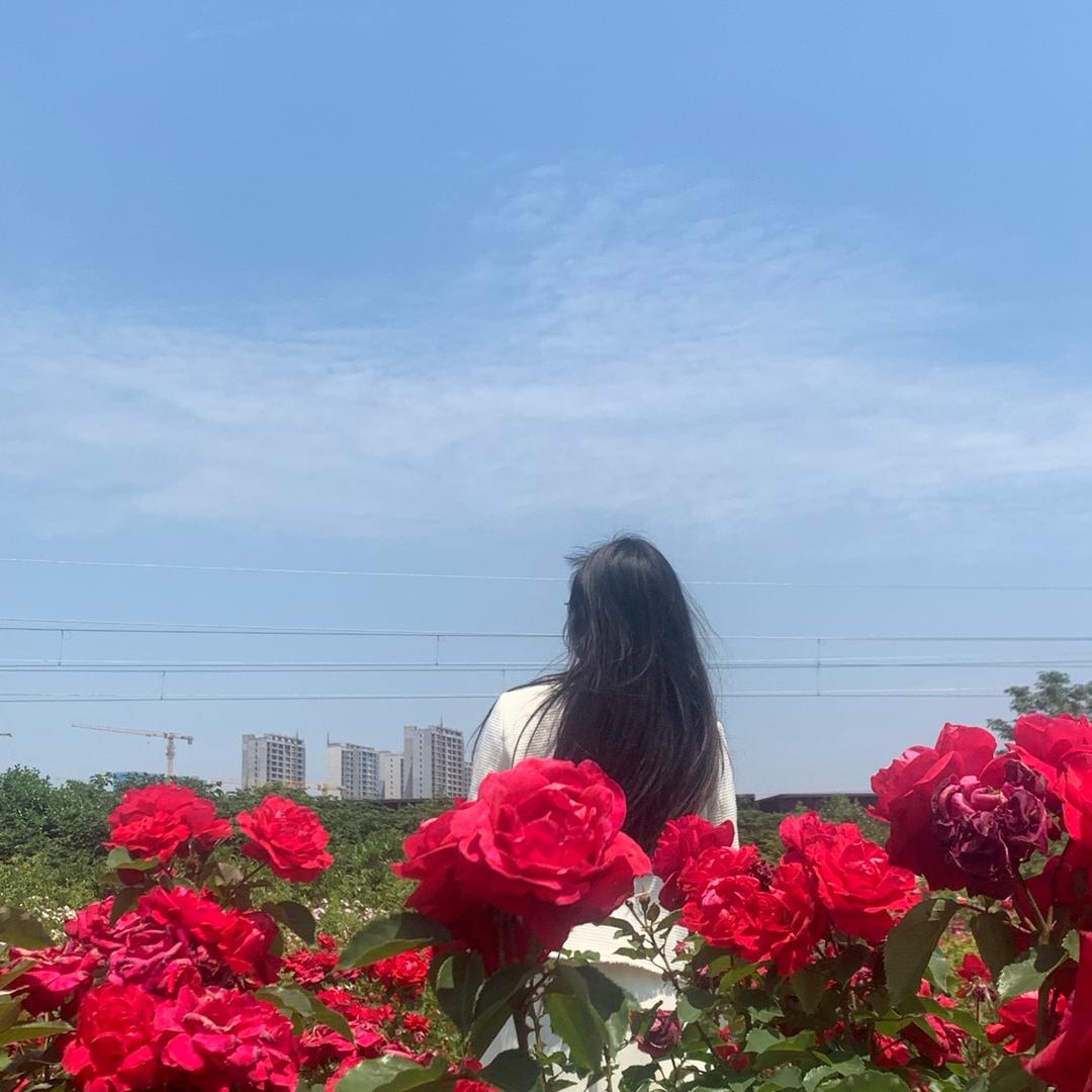 全案敏姐设计装修