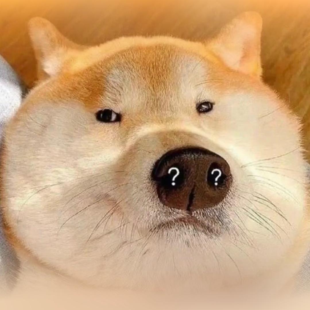 圣诞