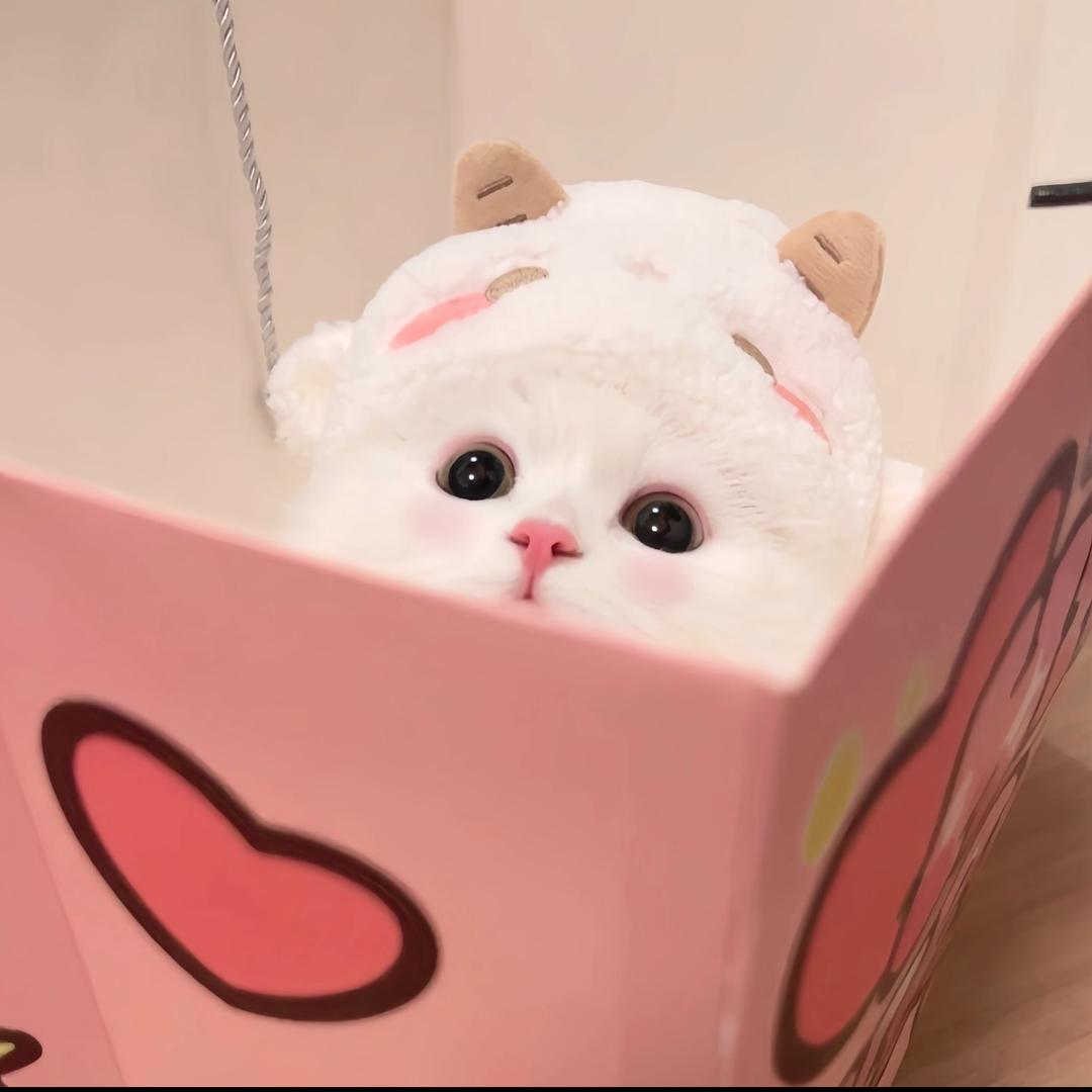 什么鹿
