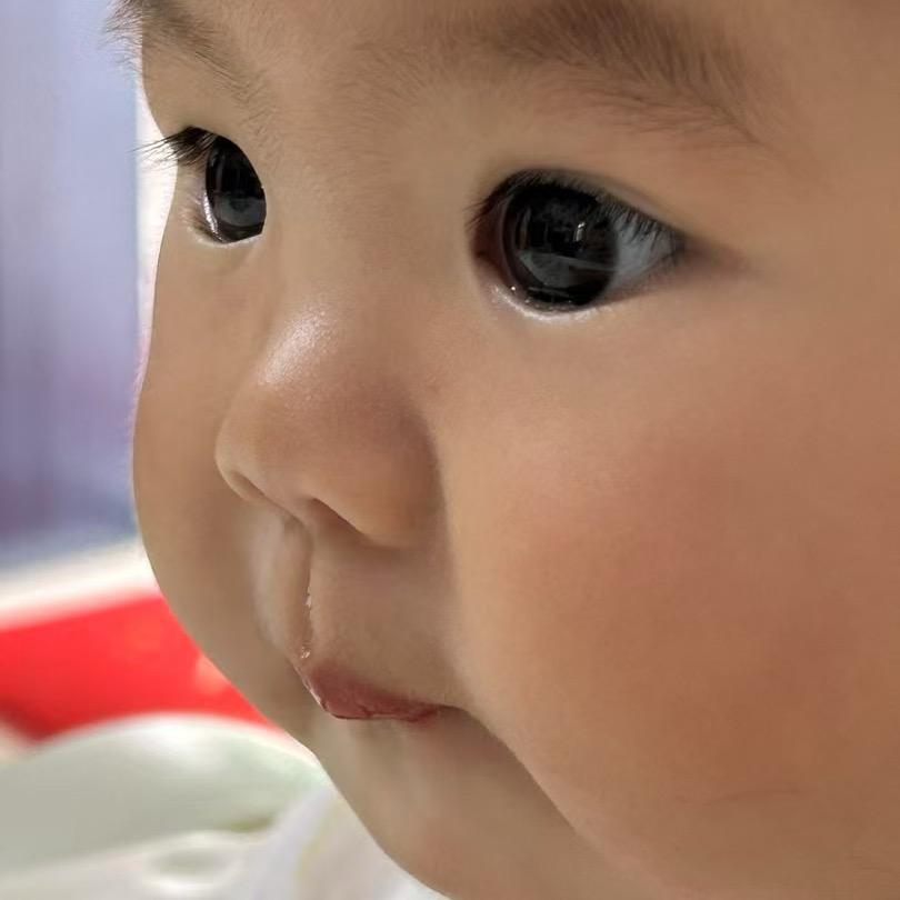 是渝不是鱼🐟