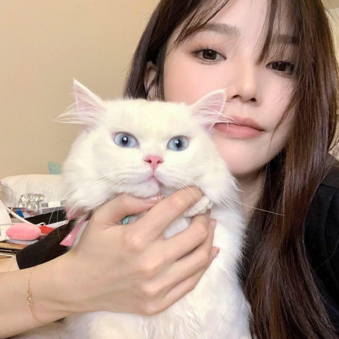 糖糖奶绿