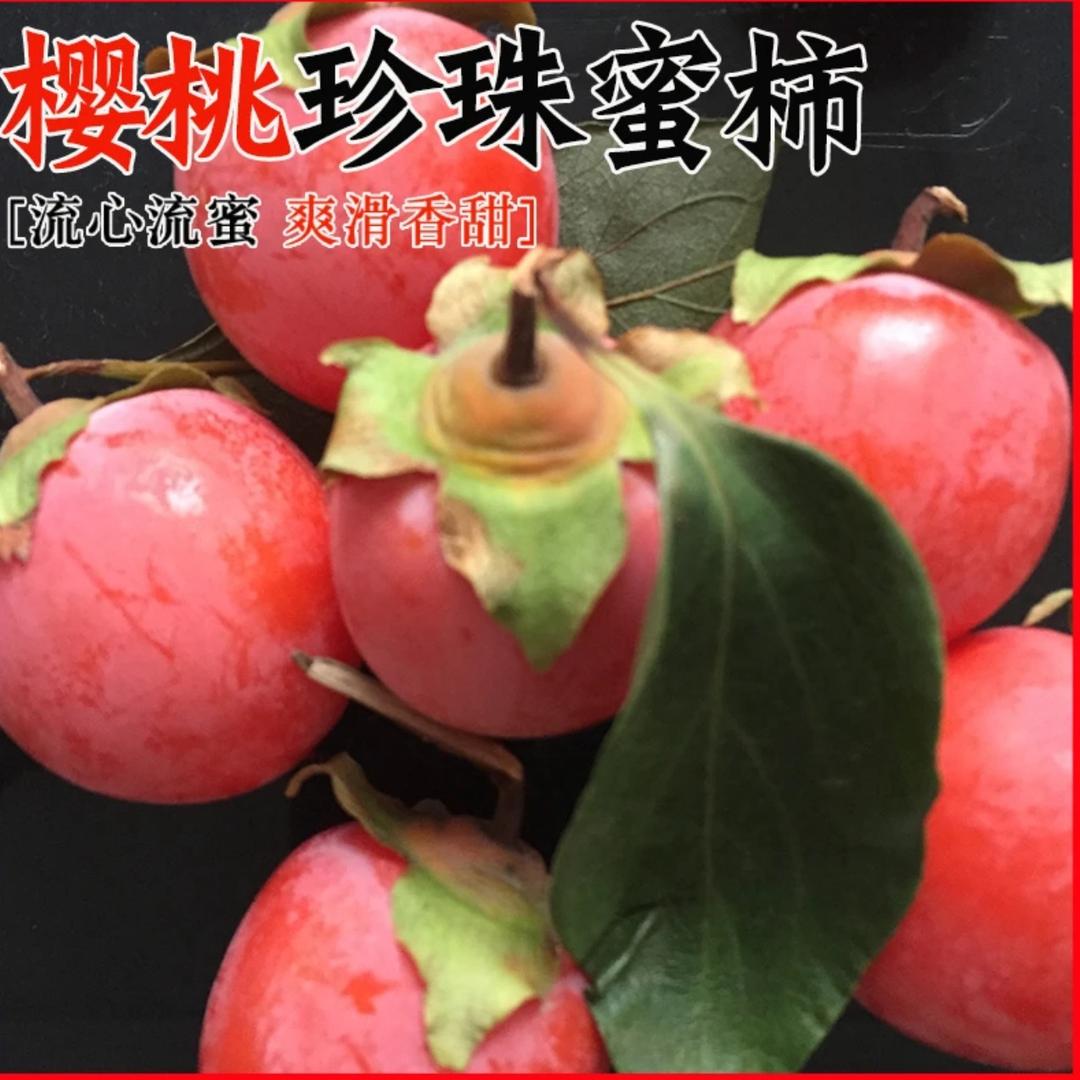 柿柿如意顺顺遂