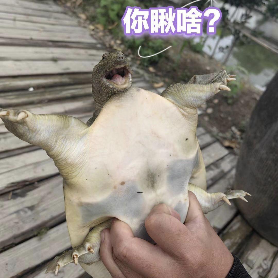 滑滑梯🛝