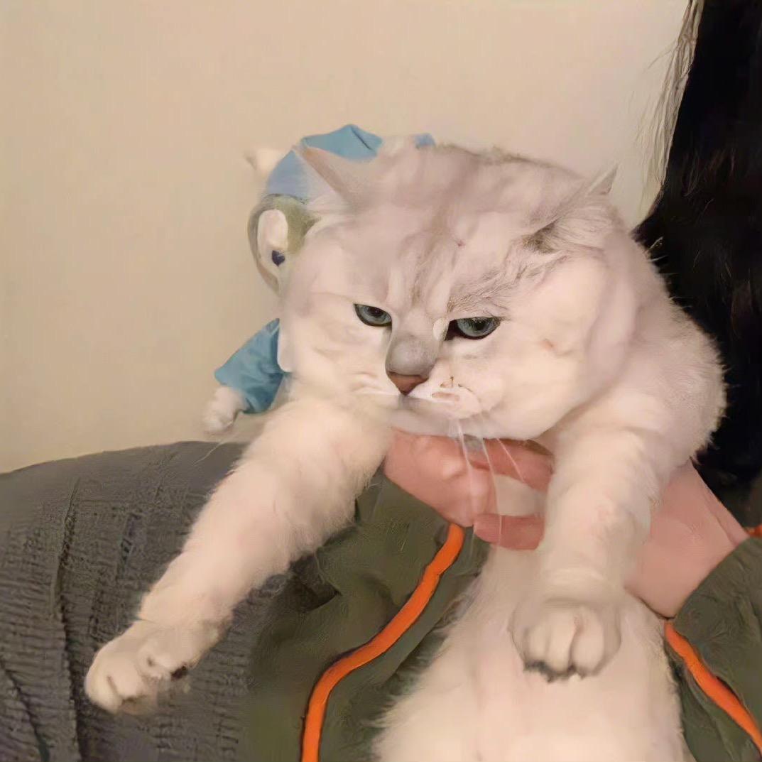 妮妮宝贝酱