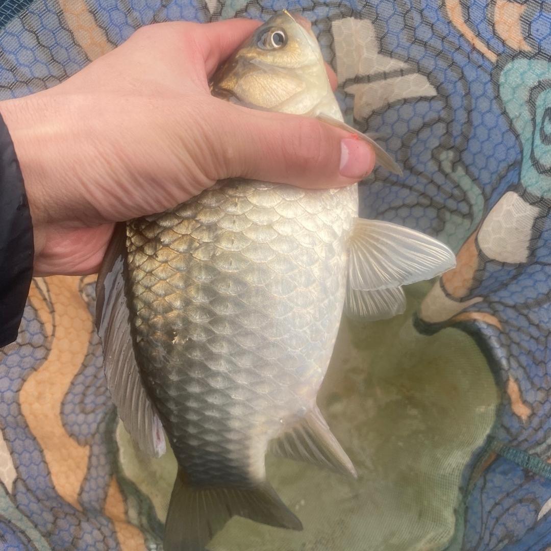 老李渔具精选