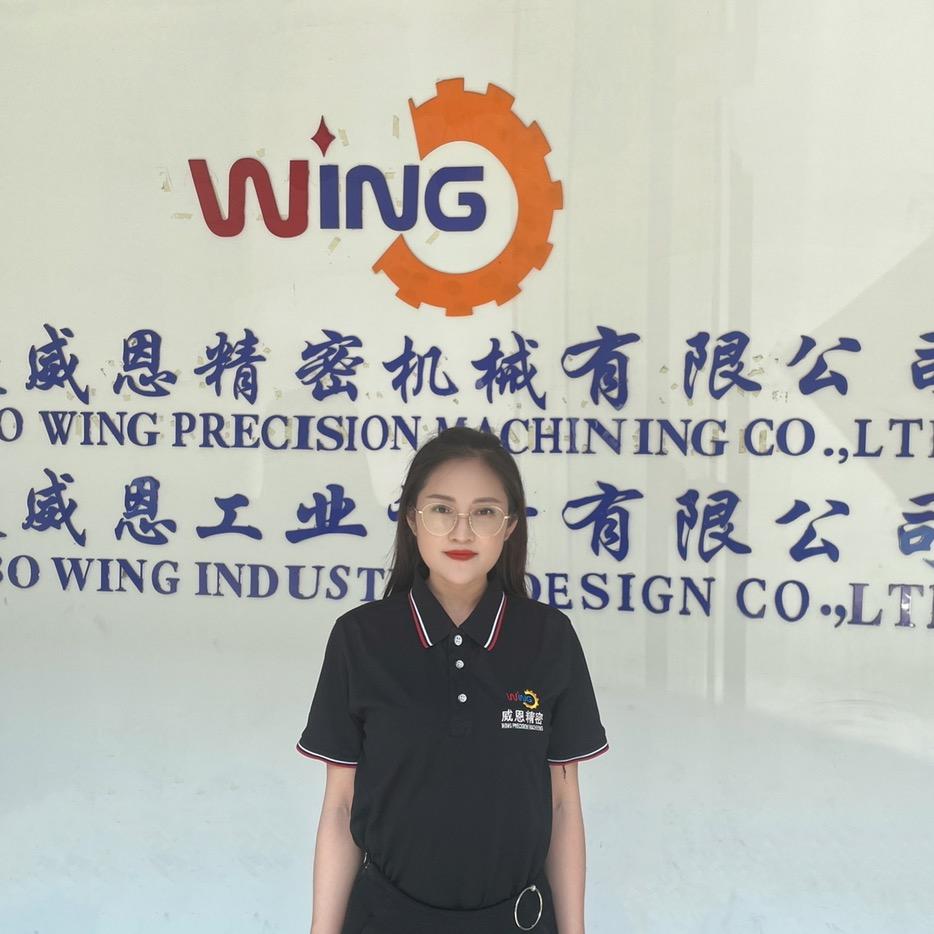 威恩压铸模具