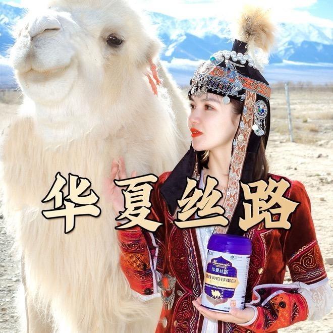 华夏丝路驼奶粉厂家直销