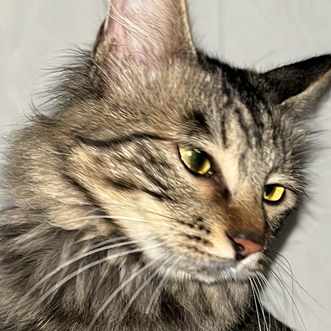Winnie