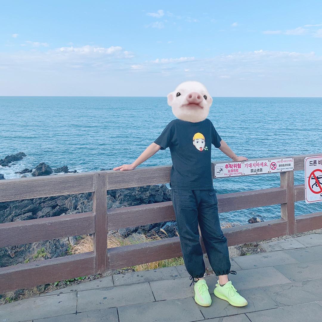 大可不必.