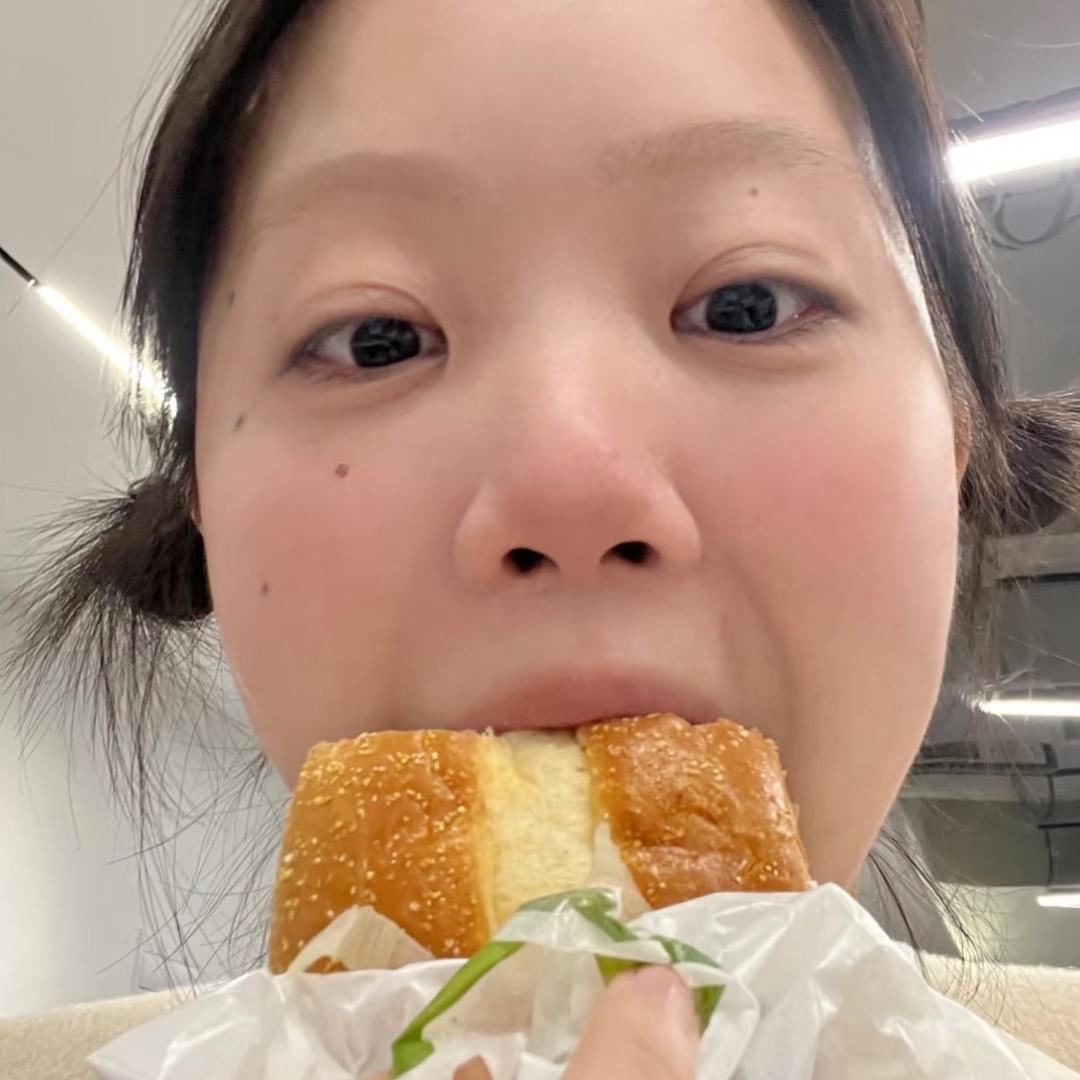 不吃香菜（考公版）