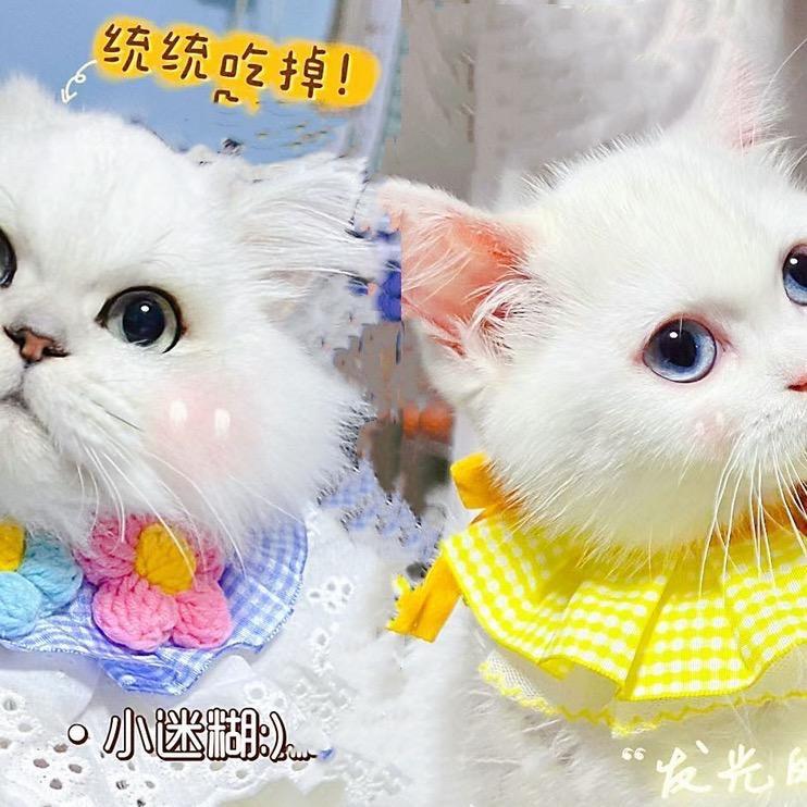 ღ花不见归期