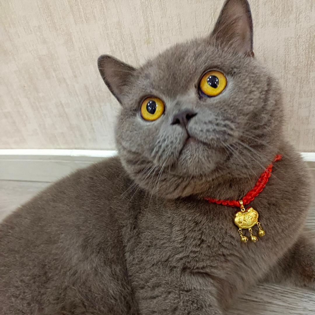 物事人非