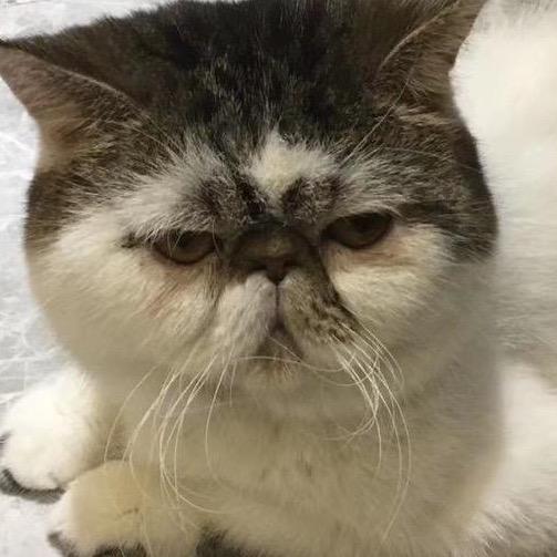 AlanSylvia夏纪扬yu