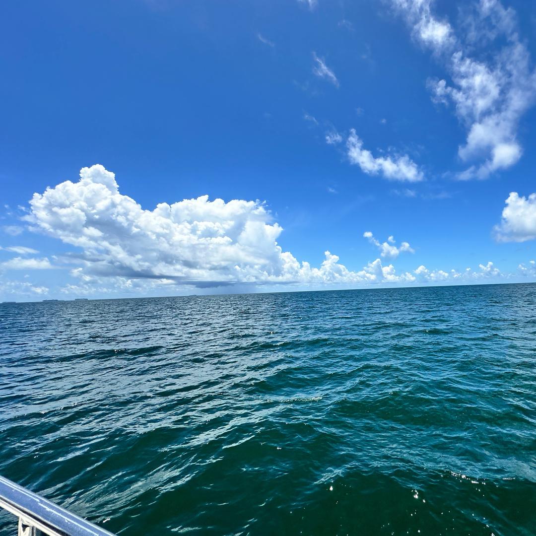 🌊看海