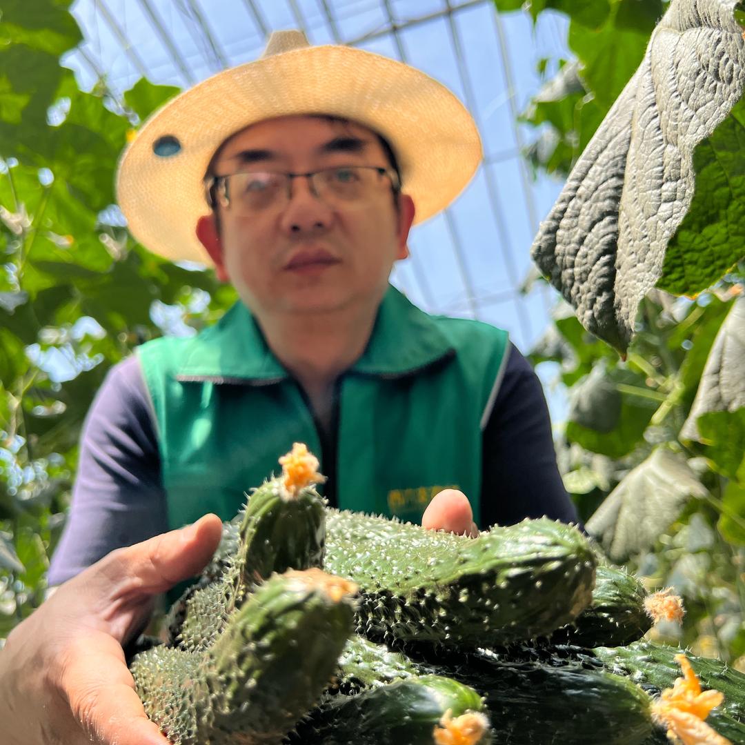 山西迎泽西六支生态农业优品店精选