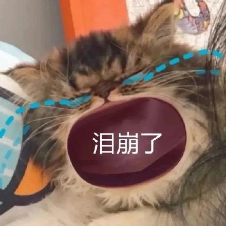 AAA装修王师傅