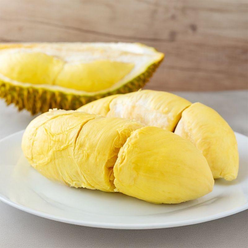 大麠带你看好树