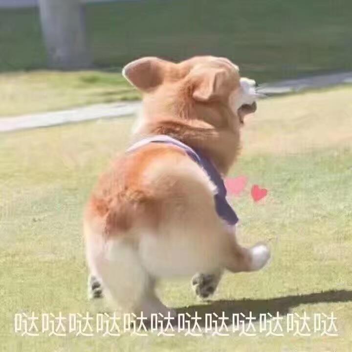 哒哒哒哒哒哒