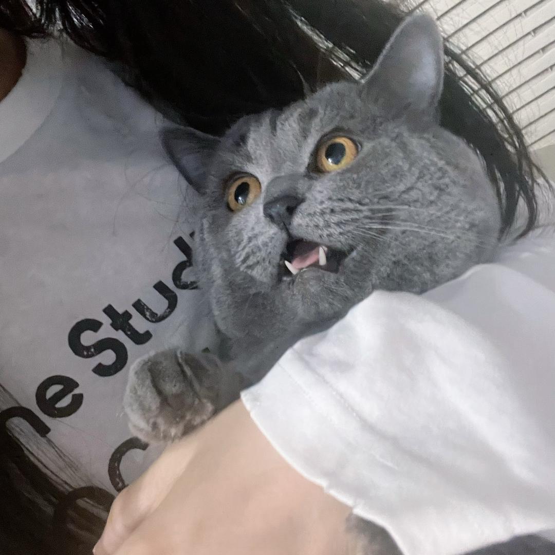 杜兰特的女孩