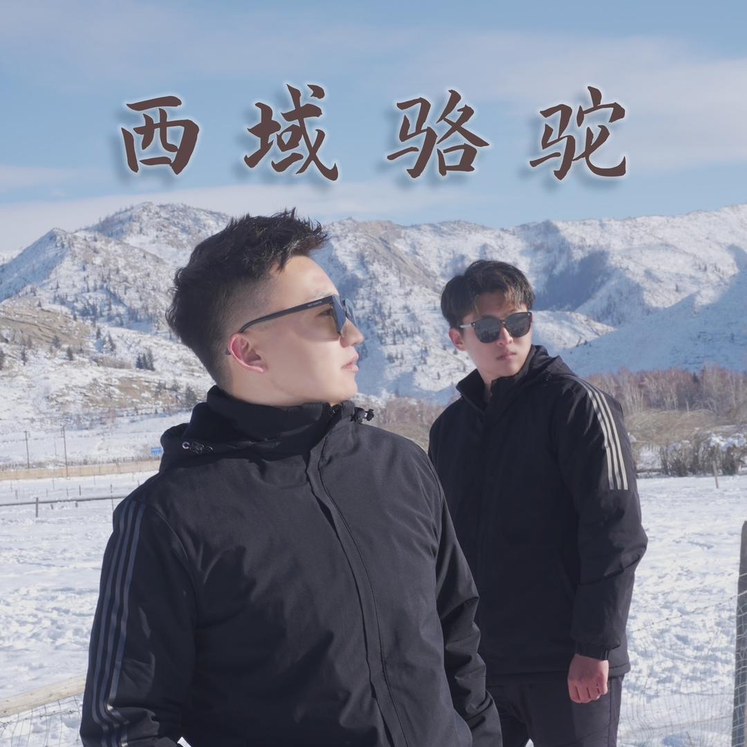 王小娟西域骆驼行