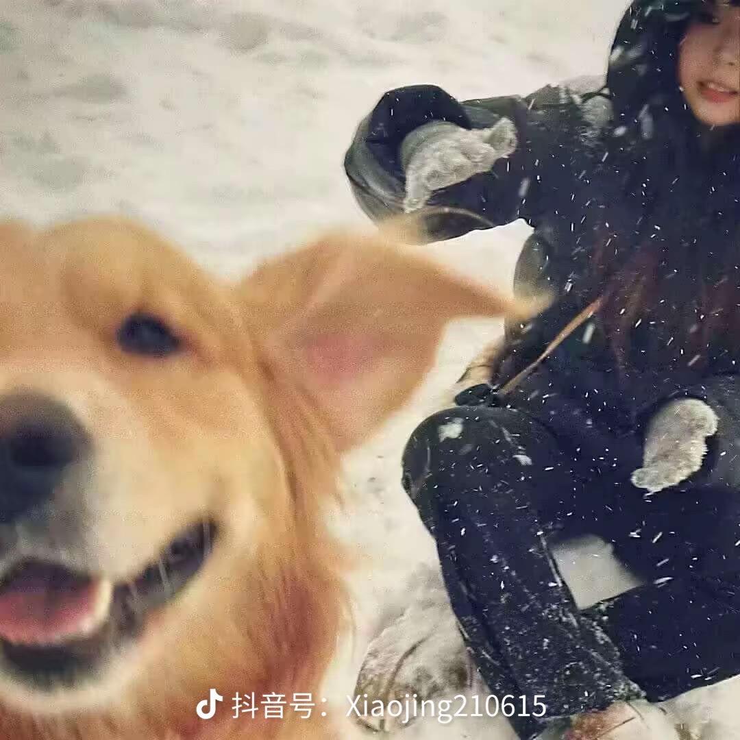 YAn