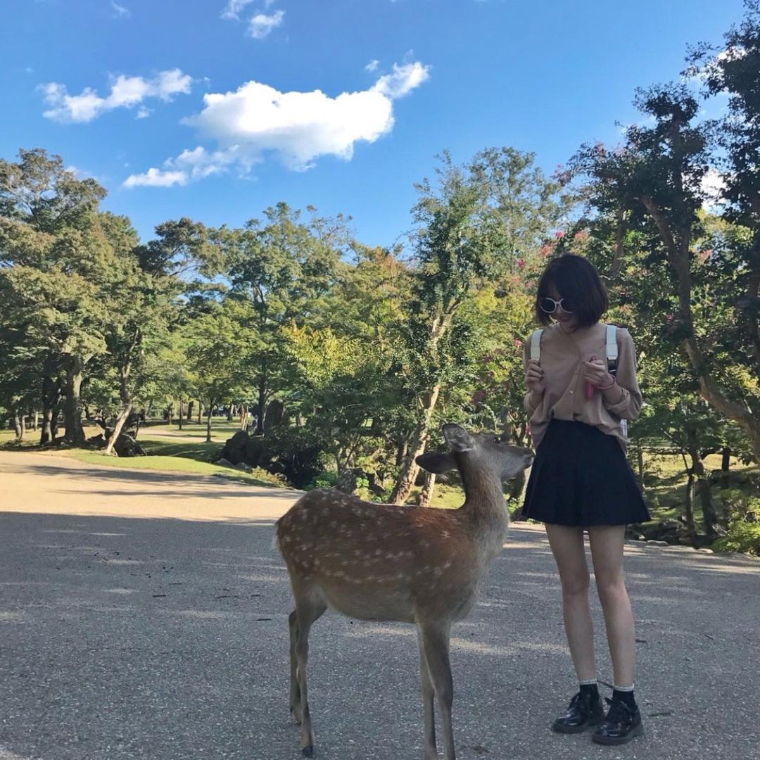 小赵别吃了别吃了🐷